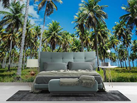 Palmiye Duvar Kağıdı Baskı