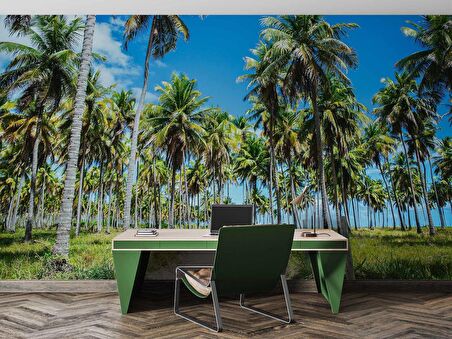 Palmiye Duvar Kağıdı Baskı