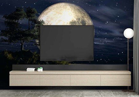 Ay ve Gece Manzarası Duvar Kağıdı