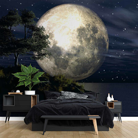 Ay ve Gece Manzarası Duvar Kağıdı