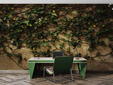 Sarmaşık ve Duvar Temalı Duvar Kağıdı