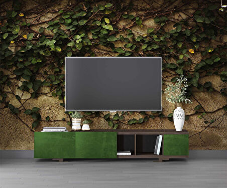 Sarmaşık ve Duvar Temalı Duvar Kağıdı