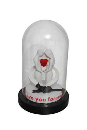 Aşk Fanusu! Çift Sevgili ve Kedi detaylı