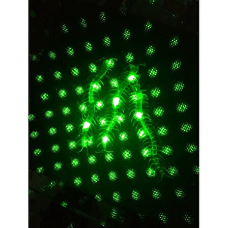 Şaka Yılan ve Kırkayak Karışık 36 Adet