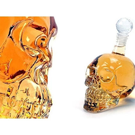Dodes Crystal Head Kuru Kafa Cam Şişe 350 ml