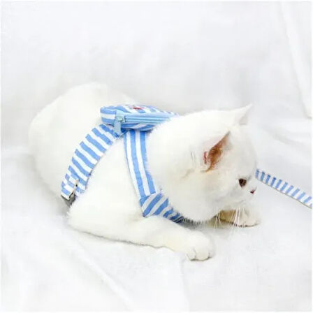 Çantalı Göğüs Gezdirme Tasması Seti