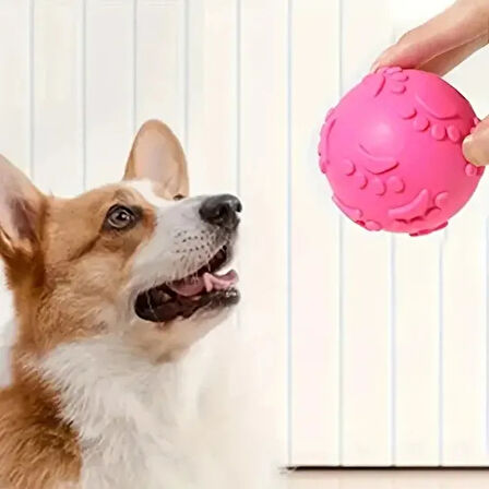 Pati Desenli Dayanıklı Köpek Isırma Topu