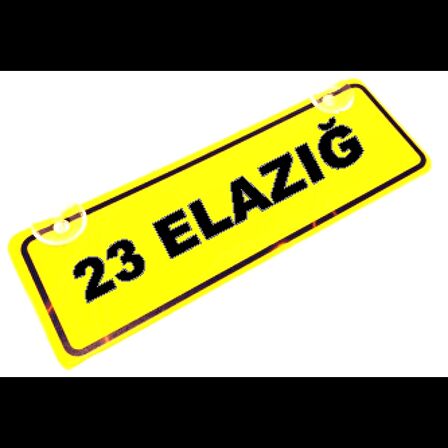 23  ELAZIG Yazılı Sarı Dekor Plaka Sök Tak Pratik yeni nesil