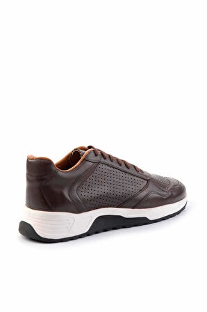 Kahve Leather Erkek Sneaker E01310601003