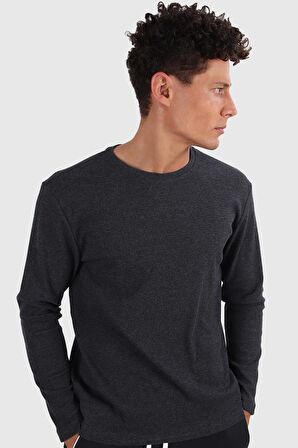 ALEXANDERGARDI REGULAR FİT KAŞKORSE SWEATSHIRT (E20-1470)