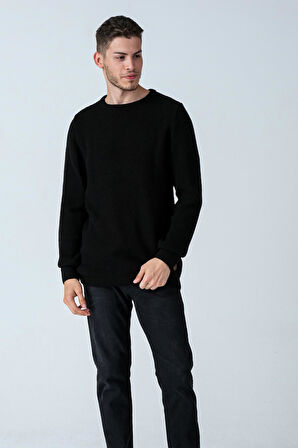 ALEXANDERGARDI BİSİKLET YAKA TRİKO KAZAK (E20-18825)