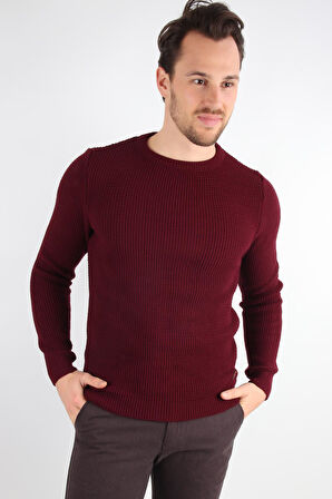 ALEXANDERGARDI BİSİKLET YAKA TRİKO KAZAK (E20-18825)