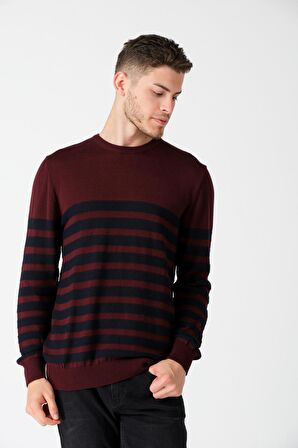 ALEXANDERGARDI ÇİZGİLİ BİSİKLET YAKA KAZAK (E20-5101)