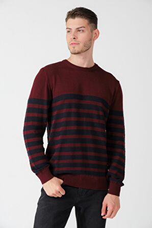 ALEXANDERGARDI ÇİZGİLİ BİSİKLET YAKA KAZAK (E20-5101)