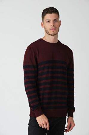 ALEXANDERGARDI ÇİZGİLİ BİSİKLET YAKA KAZAK (E20-5101)