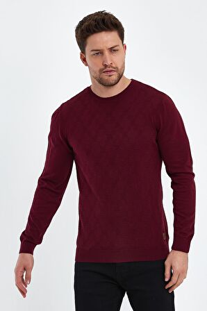 ALEXANDERGARDI BİSİKLET YAKA JAKARLI KAZAK (E20-5114)