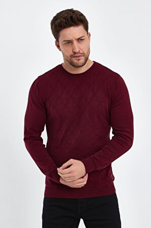 ALEXANDERGARDI BİSİKLET YAKA JAKARLI KAZAK (E20-5114)