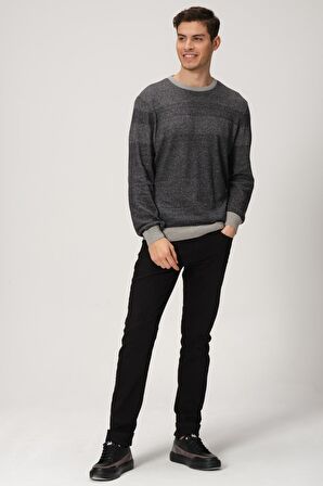 ALEXANDERGARDI DESENLİ BİSİKLET YAKA KAZAK (E20-5122)