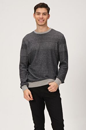 ALEXANDERGARDI DESENLİ BİSİKLET YAKA KAZAK (E20-5122)