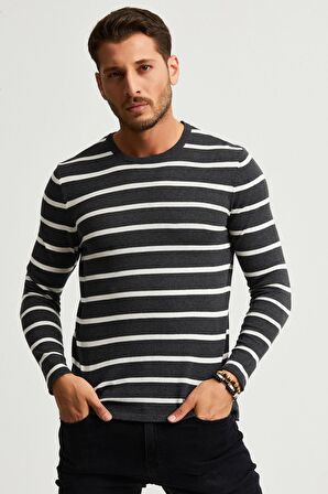 ALEXANDERGARDI ÇİZGİLİ İNCE PAMUKLU KAZAK (E22-5710)