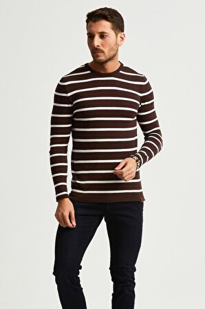 ALEXANDERGARDI ÇİZGİLİ İNCE PAMUKLU KAZAK (E22-5710)