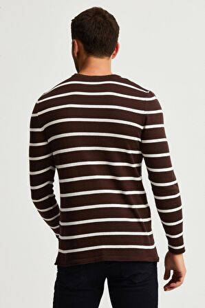 ALEXANDERGARDI ÇİZGİLİ İNCE PAMUKLU KAZAK (E22-5710)