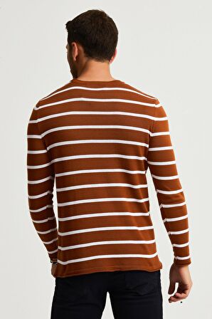 ALEXANDERGARDI ÇİZGİLİ İNCE PAMUKLU KAZAK (E22-5710)