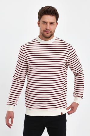 ALEXANDERGARDI BİSİKLET YAKA ÇİZGİLİ SWEATSHİRT(E23-761A-ERK)