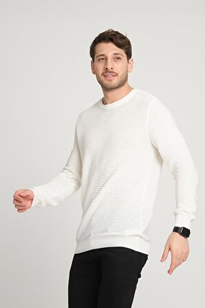 ALEXANDERGARDI BİSİKLET YAKA DESENLİ KAZAK(E24-1112)