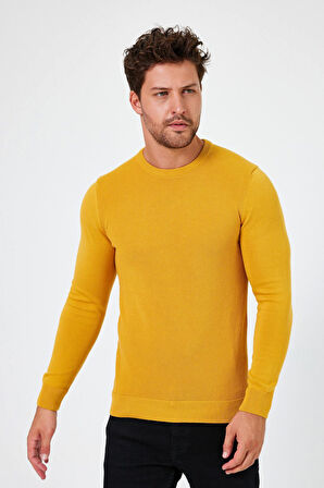 ALEXANDERGARDI BİSİKLET YAKA REGULAR FİT KAZAK (E24-EZE-03)