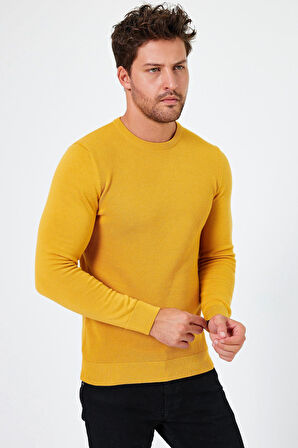 ALEXANDERGARDI BİSİKLET YAKA REGULAR FİT KAZAK (E24-EZE-03)