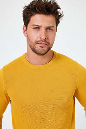 ALEXANDERGARDI BİSİKLET YAKA REGULAR FİT KAZAK (E24-EZE-03)