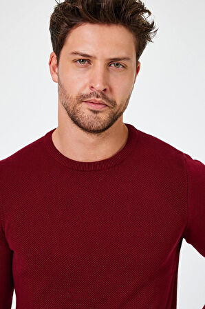 ALEXANDERGARDI BİSİKLET YAKA REGULAR FİT KAZAK (E24-EZE-03)