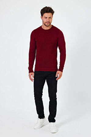 ALEXANDERGARDI BİSİKLET YAKA REGULAR FİT KAZAK (E24-EZE-03)