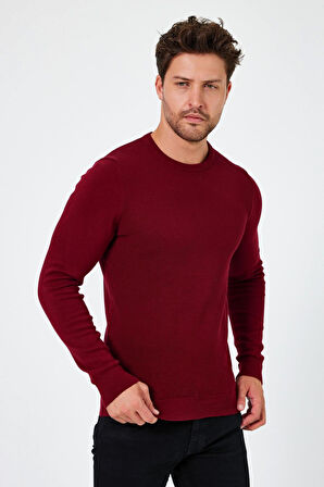 ALEXANDERGARDI BİSİKLET YAKA REGULAR FİT KAZAK (E24-EZE-03)