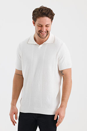 ALEXANDERGARDI ÇİZGİLİ POLO YAKA REGULAR FİT T-SHIRT (E24-EZE-32)