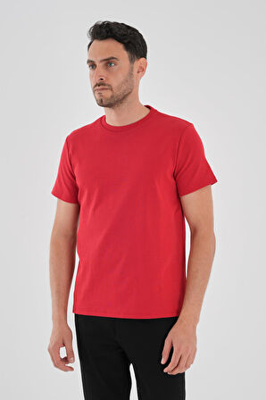 ALEXANDERGARDI Dokulu Erkek T-shirt