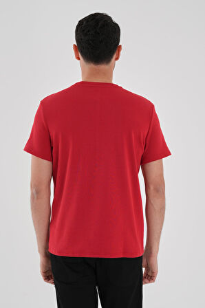 ALEXANDERGARDI Dokulu Erkek T-shirt
