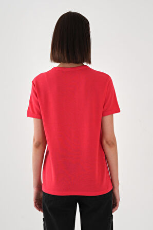 ALEXANDERGARDI V Yaka T-shirt