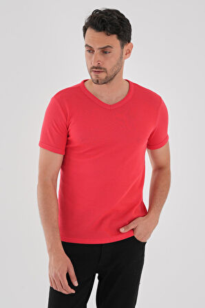 ALEXANDERGARDI V Yaka Kısa Kollu Erkek T-shirt