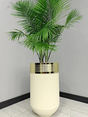 ELEGANT Dekoratif Gold Darbuka Krem Saksı 60cm