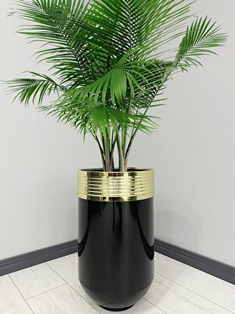ELEGANT Dekoratif Gold Darbuka Parlak Siyah Saksı 60cm