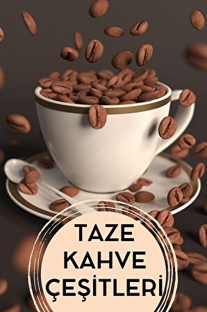 E-aktariye Ginkgo Bloba Yaprağı (Mabed Ağacı) 100 Gr