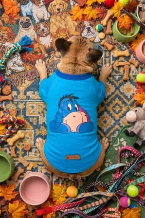 Köpek Tişörtü, Pamuklu Penye Kumaş, Küçük ve Orta Irklar İçin İdeal Eeyore Baskılı Köpek Tişörtü