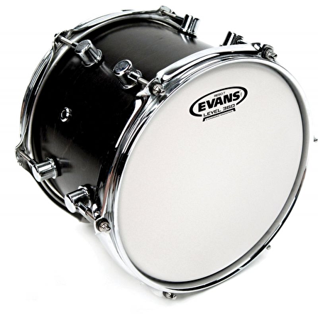 EVANS B08RES7