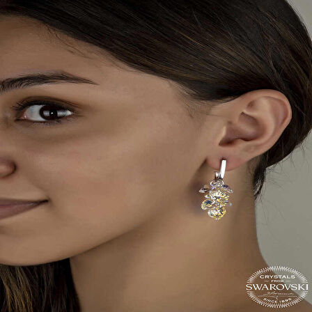Ebuz Swarovski Crystal Taşlı Gümüş Kalp Salkım Sallantılı Çivili Kadın Küpe