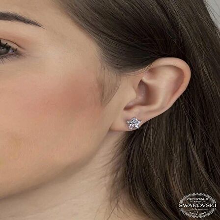 Ebuz Swarovski Crystal Taşlı Gümüş Yıldız Çivili Kadın Küpe