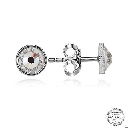 Ebuz Swarovski Crystal Taşlı Gümüş  Çivili Kadın Küpe