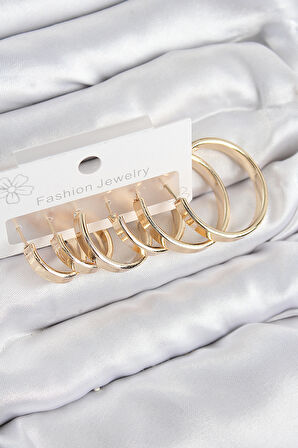 Pirinç Halka Model Gold Renk Kadın Set Küpe - EBJ250802W37045