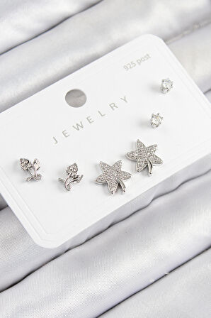 Pirinç Zirkon Taşlı Yıldız Ve Gül Model Gümüş Renk 925 Ayar Gümüş Çivi Kadın Küpe Set - EBJ250816W37393